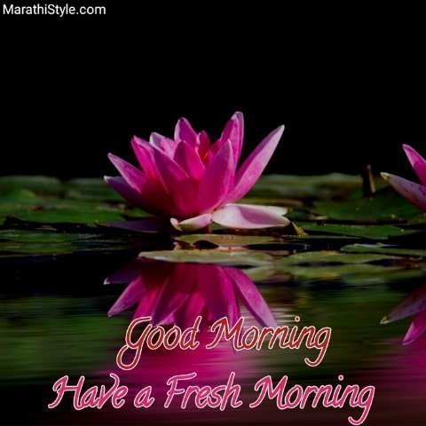gud morning friends have a nice day