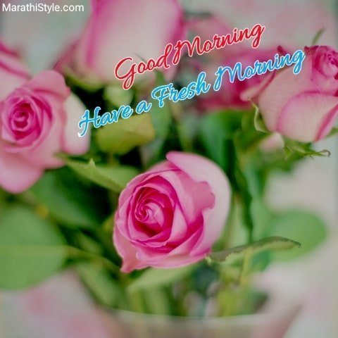 gud morning friends have a nice day