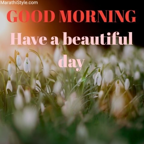 Good morning HD image for friends