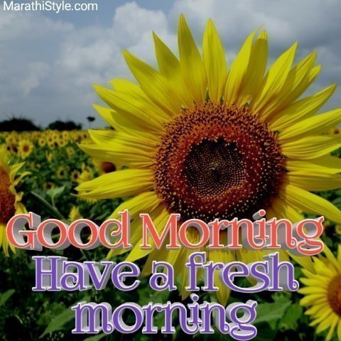 Gud morning friends have a nice day