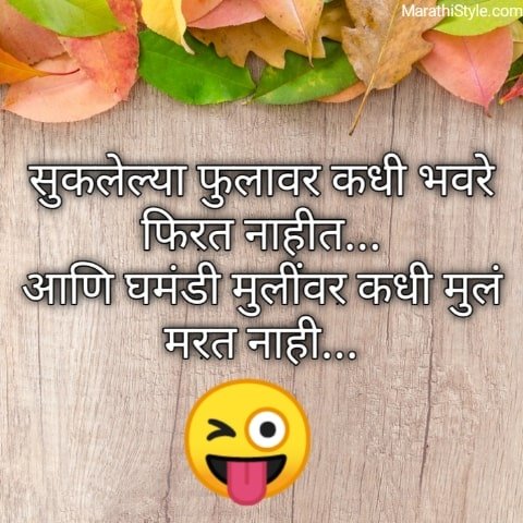 मराठी टोमणे | Best Marathi funny quotes | jokes status for whatsapp -  Marathi Style