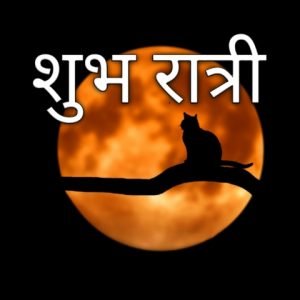 शुभ रात्री~ Good Night Images In Marathi~ Good Night Status In Marathi
