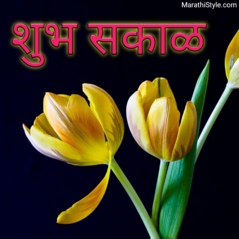 à¤¶ à¤­ à¤¸à¤ à¤³ Shubh Sakal Whatsapp Image Shubh Sakal Quote Sadguru sainath maharaj ki jay. à¤¶ à¤­ à¤¸à¤ à¤³ shubh sakal whatsapp image shubh sakal quote