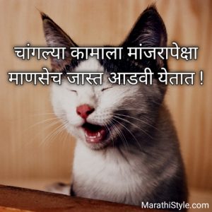 मजेदार सुविचार | Funny Thoughts In Marathi Suvichar